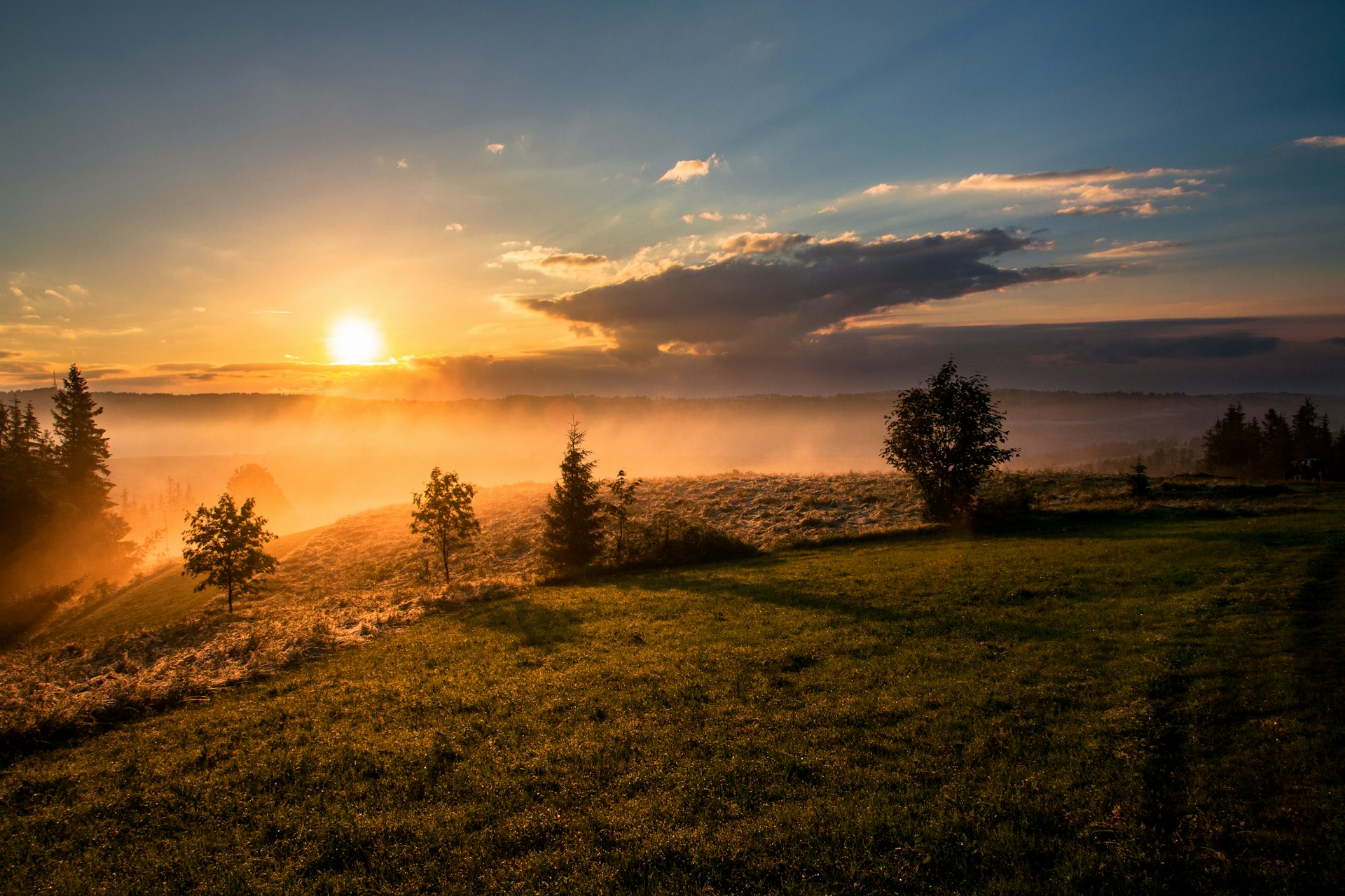 Sunrise over open landscape